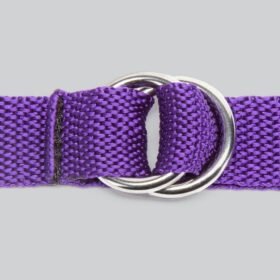 Purple Reins Under Mattress Spreader Restraint
