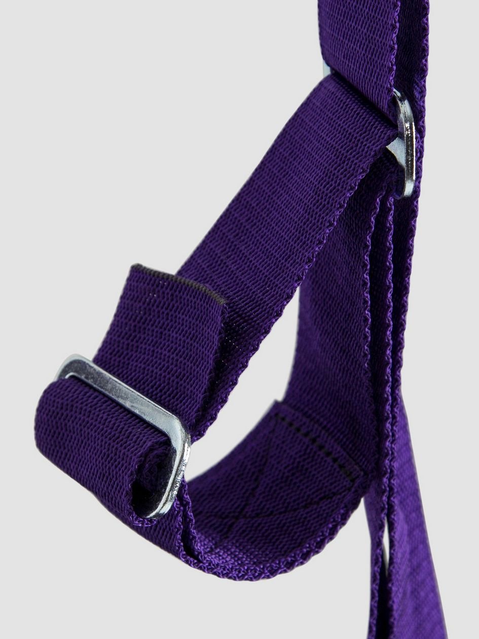 68144.jpg Purple Reins Sex Sling - Image 1