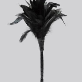Fetish Fantasy Frisky Black Feather Tickler
