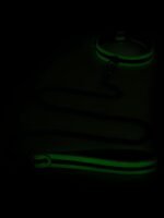 Bondage Boutique Glow-in-the-Dark Collar and Lead - Image 2