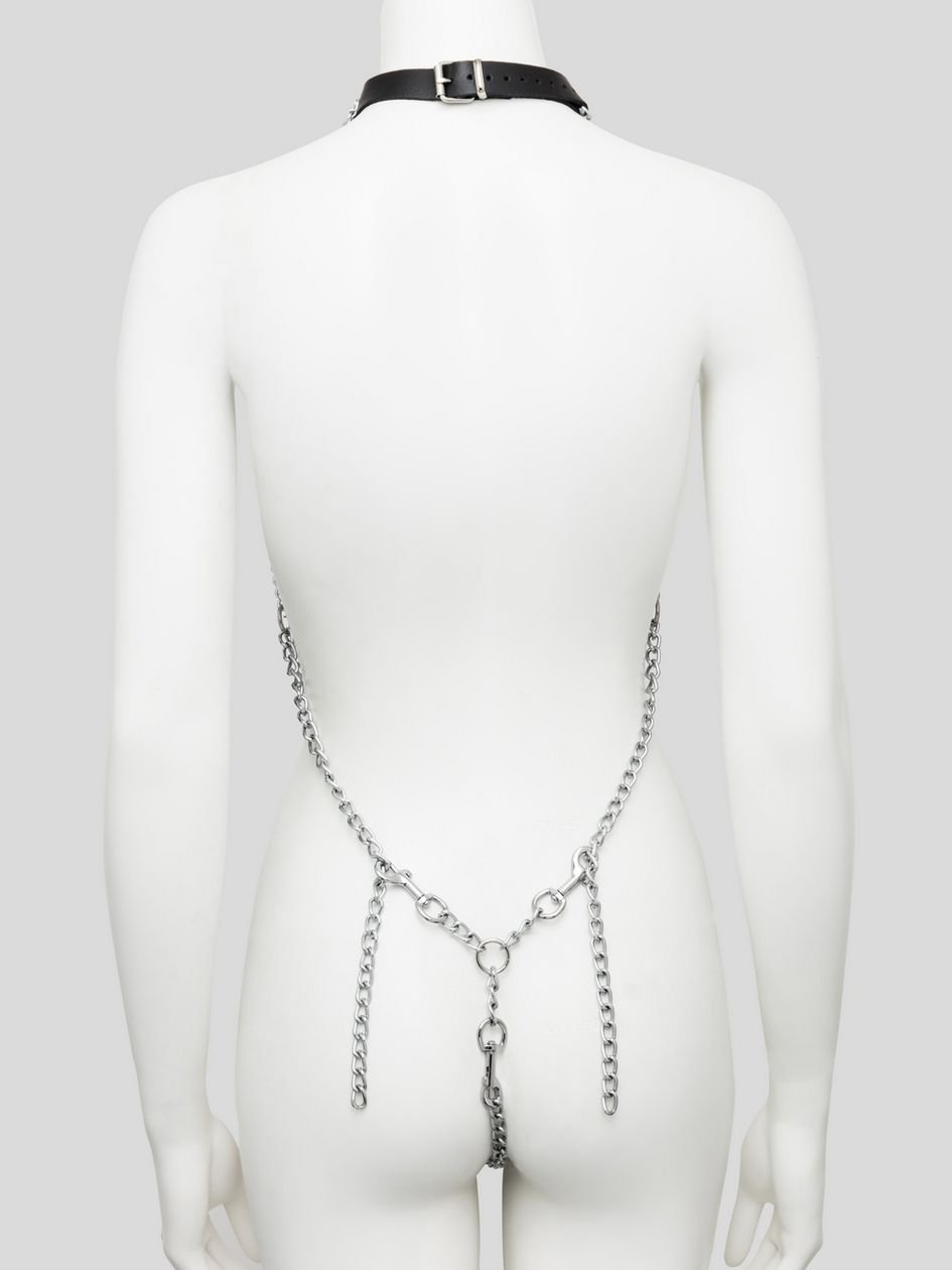 83982.jpg DOMINIX Deluxe Open-Body Chain Harness with Leather Collar - Image 1