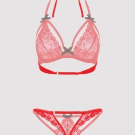 Lovehoney Plus Size Red Underwired Lace Triangle Bra and G-String Set