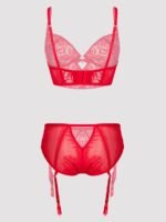 Lovehoney Plus Size Parisienne Charm Red Lace Crotchless Bra Set