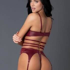 Exposed Lust Burgundy Wet Look Cut Out Basque Set